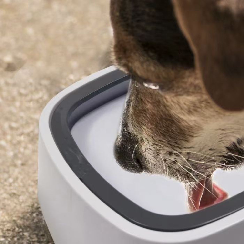 Non-Slip Clear Plastic Dog Water Bowl with Floating Debris Filter - Spill-Resistant, Travel-Ready, No Batteries Needed, Portable