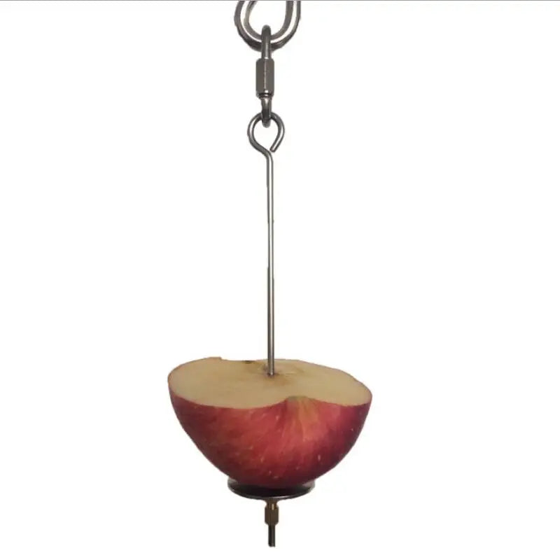 New Bird Toy Skewer Fruit Spear Hanging Holder Pet Parrot Parakeet Small Animal Stainless Steel Parrot Stainless Steel Toy Fork