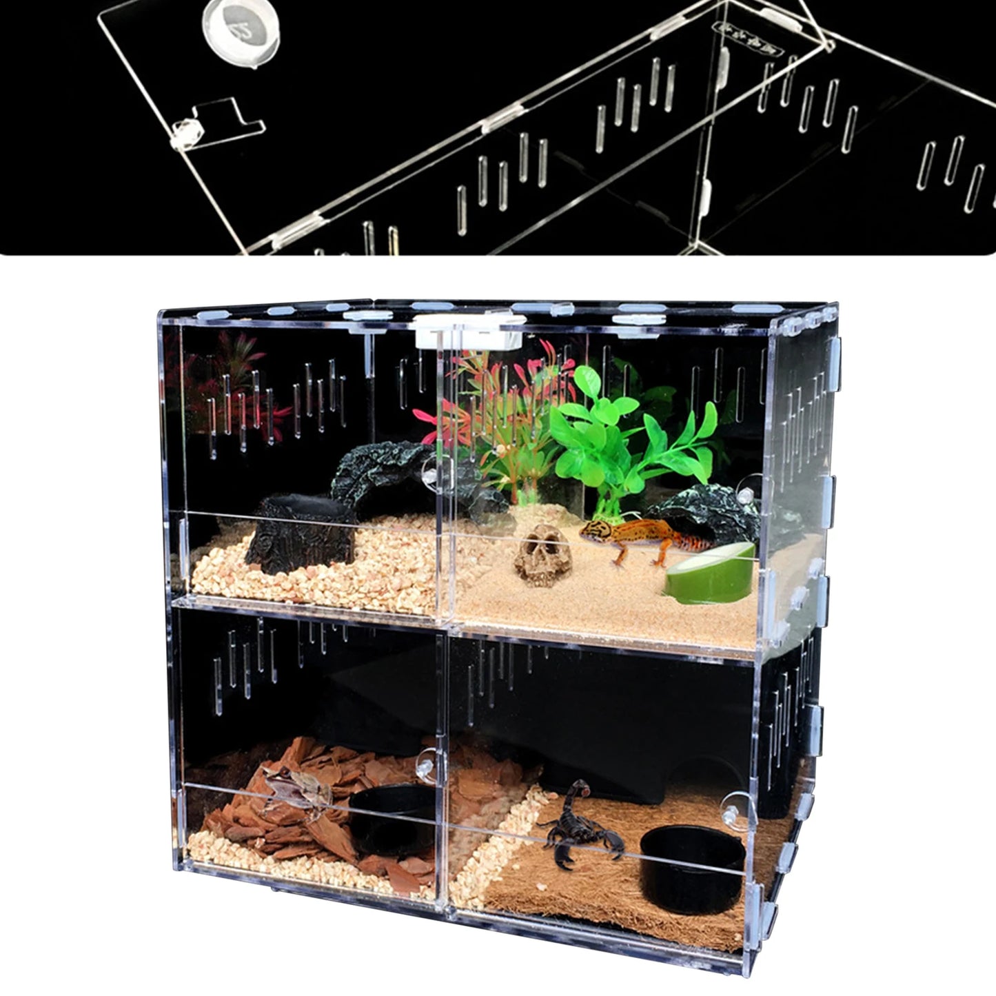 Acrylic Pet Breeding Box for Reptiles and Insects with 4 Grids