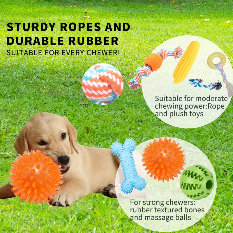 18 Piece Dog Toy Set with Squeaky Toys Ropes and Interactive Food Dispensers