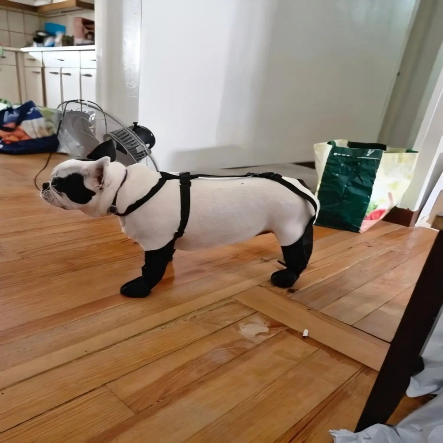 Waterproof Dog Boots Outdoor Galosh Booties For Pet Safety And Comfort