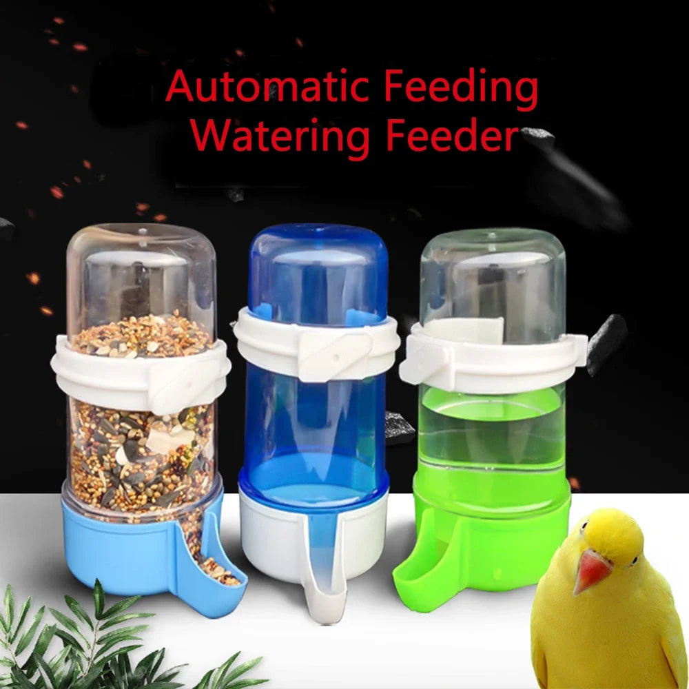 Automatic Bird Feeder and Water Dispenser for Small to Large Birds