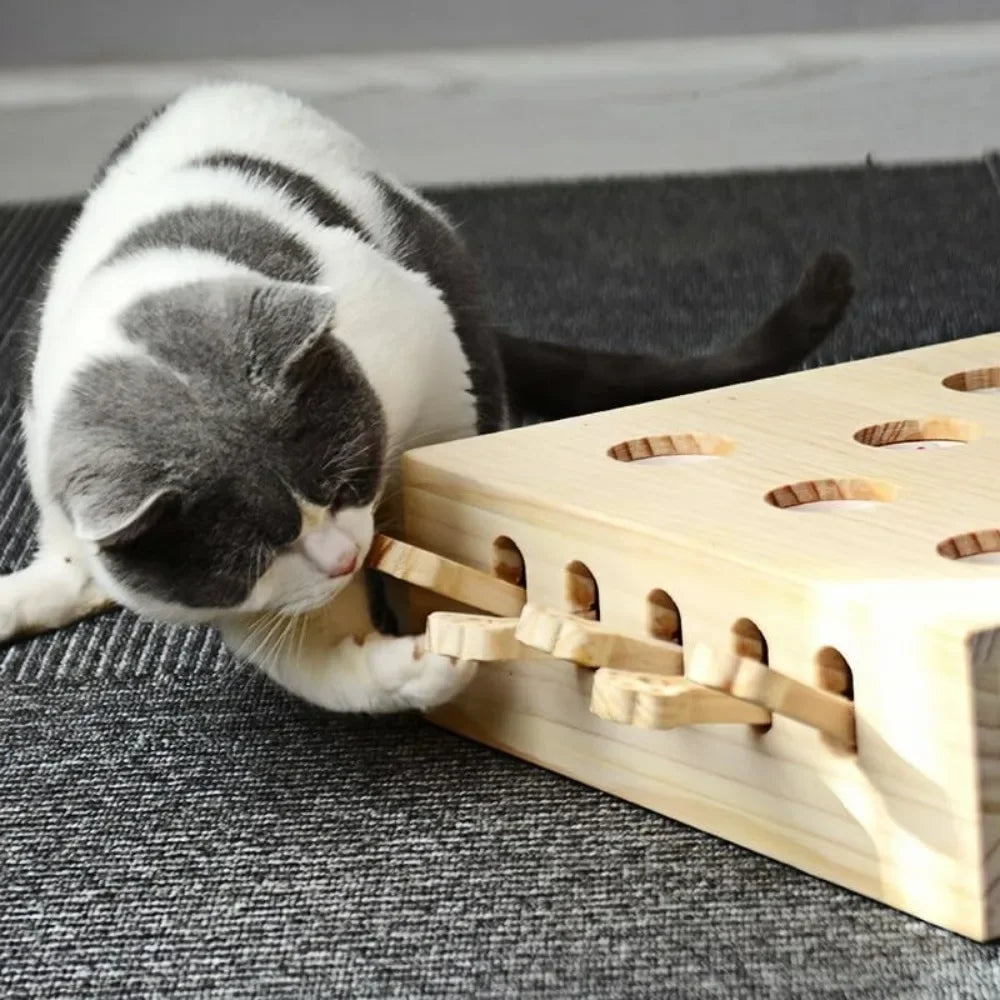 Cat Toys Fun Entertainment Stimulating Cat Puzzle Toy for Indoor Hide and Seek Whack a Mole Cats Toy