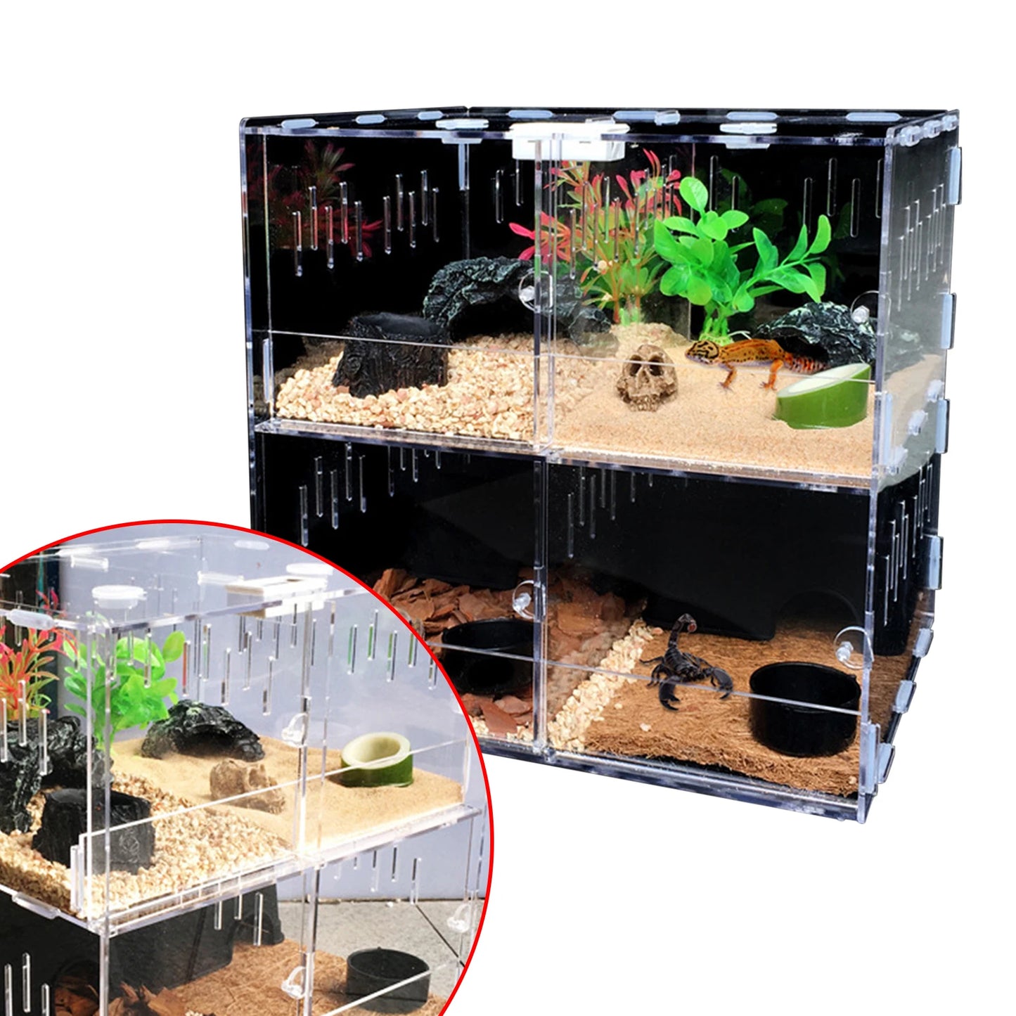Acrylic Pet Breeding Box for Reptiles and Insects with 4 Grids