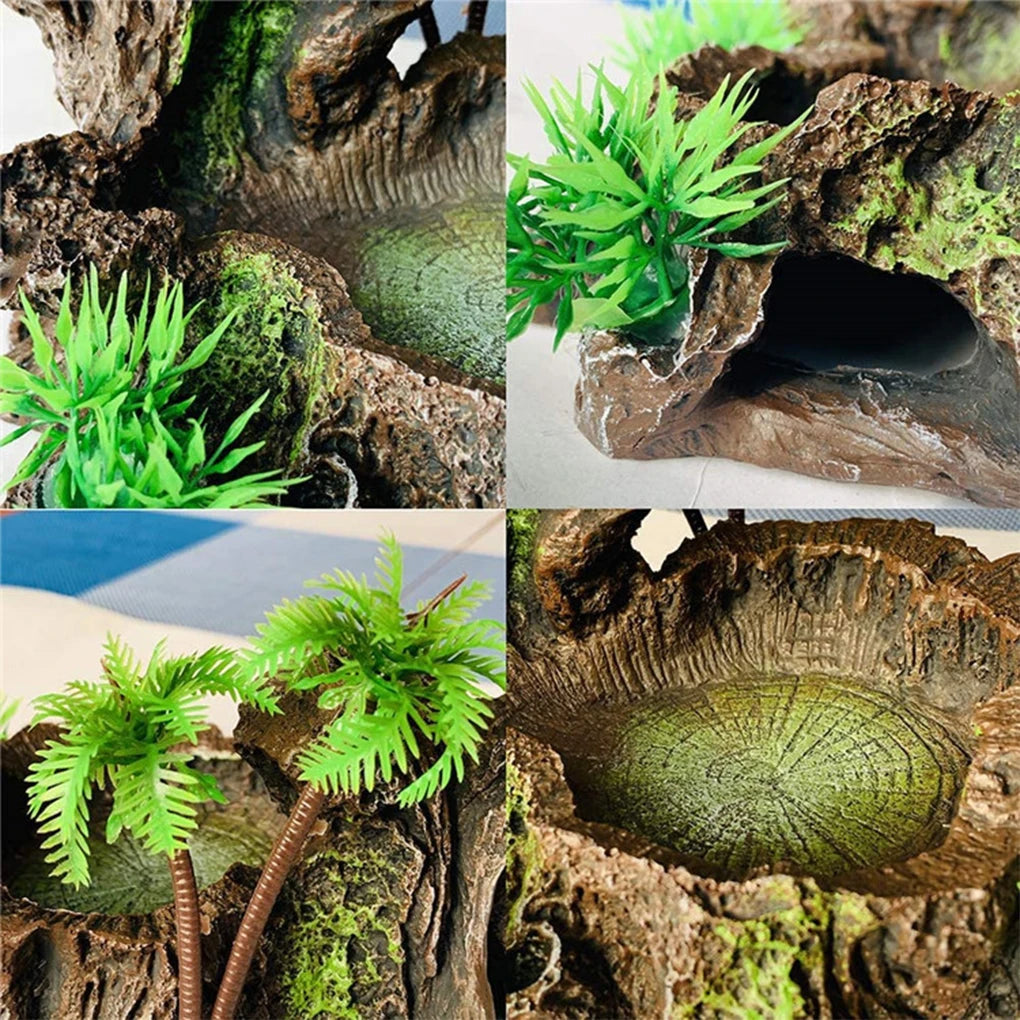 Stable And Sturdy Reptile Feeder Bowl For All Reptile Needs Wide Application Reptile Food Water Dish