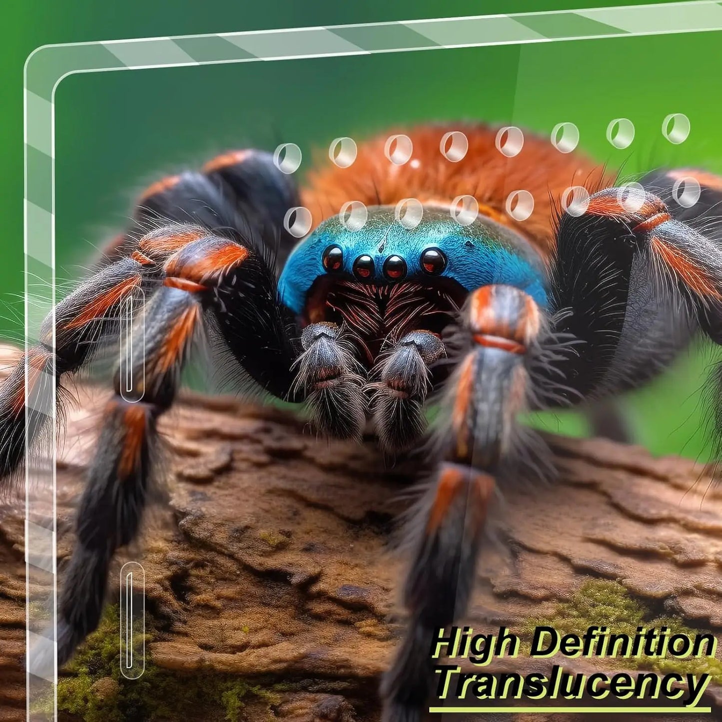 Acrylic Transparent Reptile Terrarium Habitat Breeding Box Reptiles Cage Nano Arboreal Tarantula Enclosure Bearded Dragon