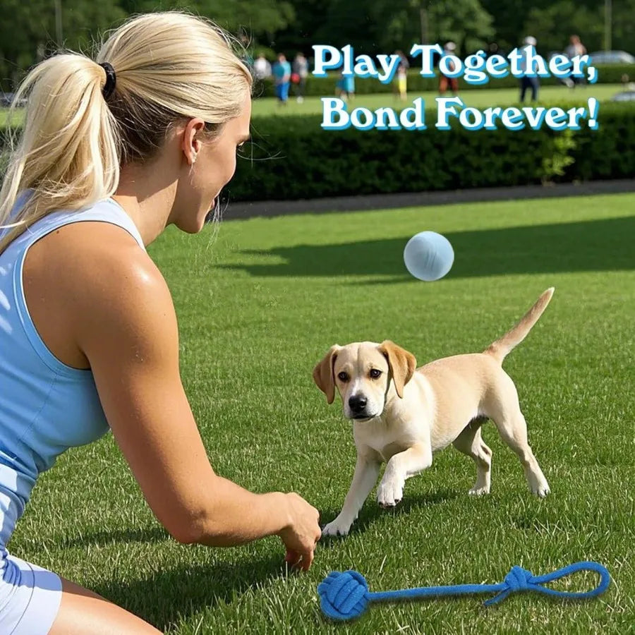 20 Pack Puppy Chew Toys For Small Breeds Blue Teething Rings And Ropes Bundle