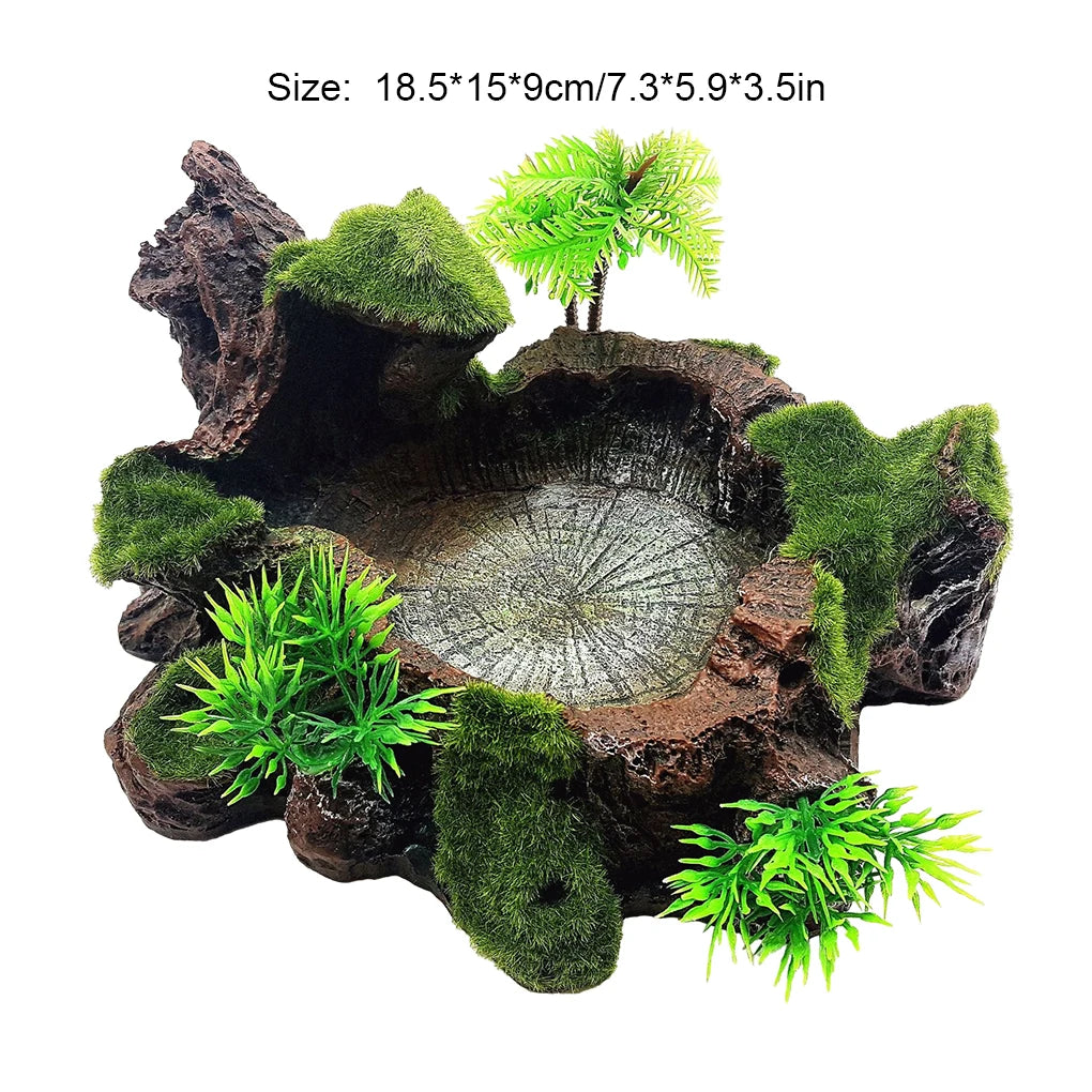 Stable And Sturdy Reptile Feeder Bowl For All Reptile Needs Wide Application Reptile Food Water Dish