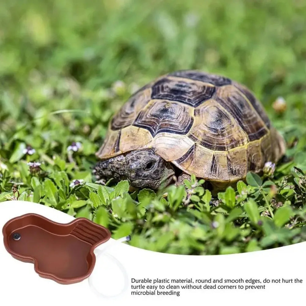 Reptile Bathing Pool Reptile Feeding Dish Water Bowl with Ramp Aquarium Ornament for Snake, Turtle, Bearded Dragon, Lizard Bath