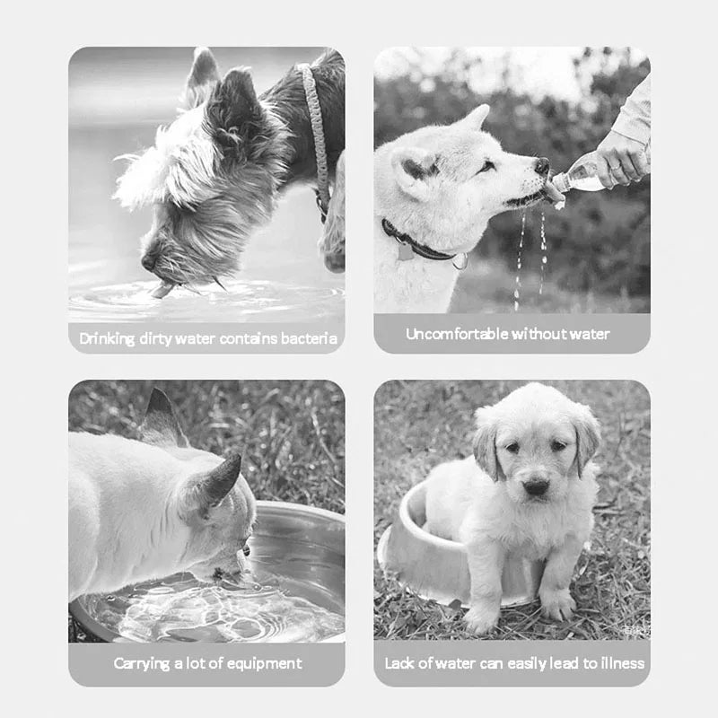 Dog Water Bottle For Outdoor Use Portable Companion Cup Plastic Water Bottle Dog Walking Water Feeding Dog Accessories Outdoor