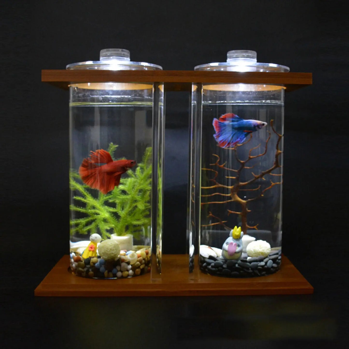 Mini Glass Betta Fish Tank with Bamboo Base for Stylish Desktop Decor