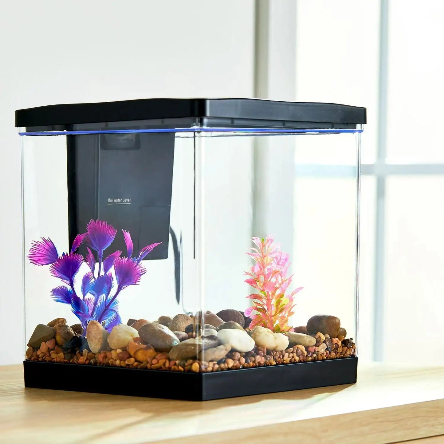 1.5 Gallon Plastic Aquarium Tank with Filter and Light for Small Fish