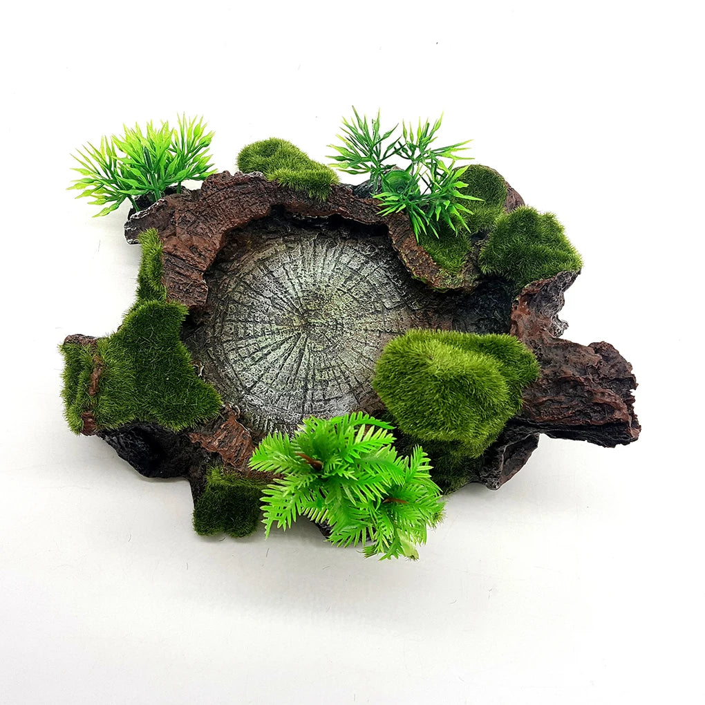 Stable And Sturdy Reptile Feeder Bowl For All Reptile Needs Wide Application Reptile Food Water Dish