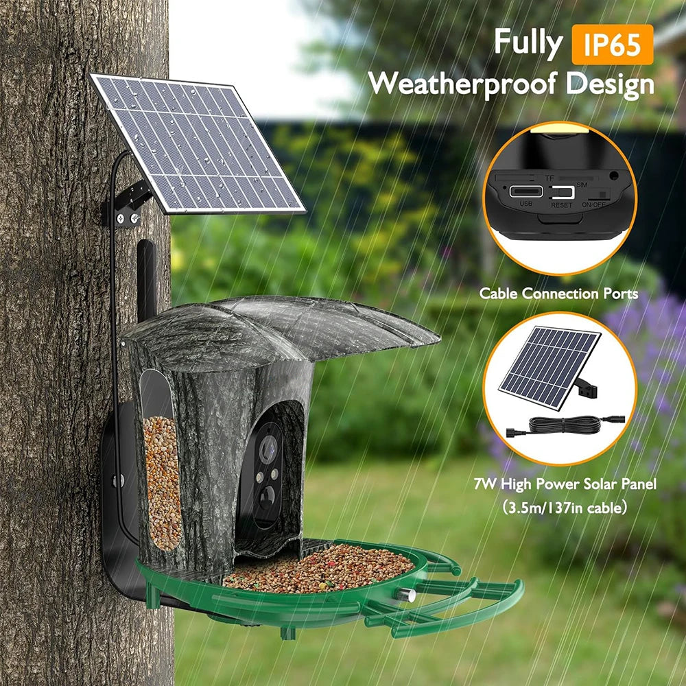 Smart Bird Feeder Camera Outdoor with 1080P HD AI Wildlife Identification