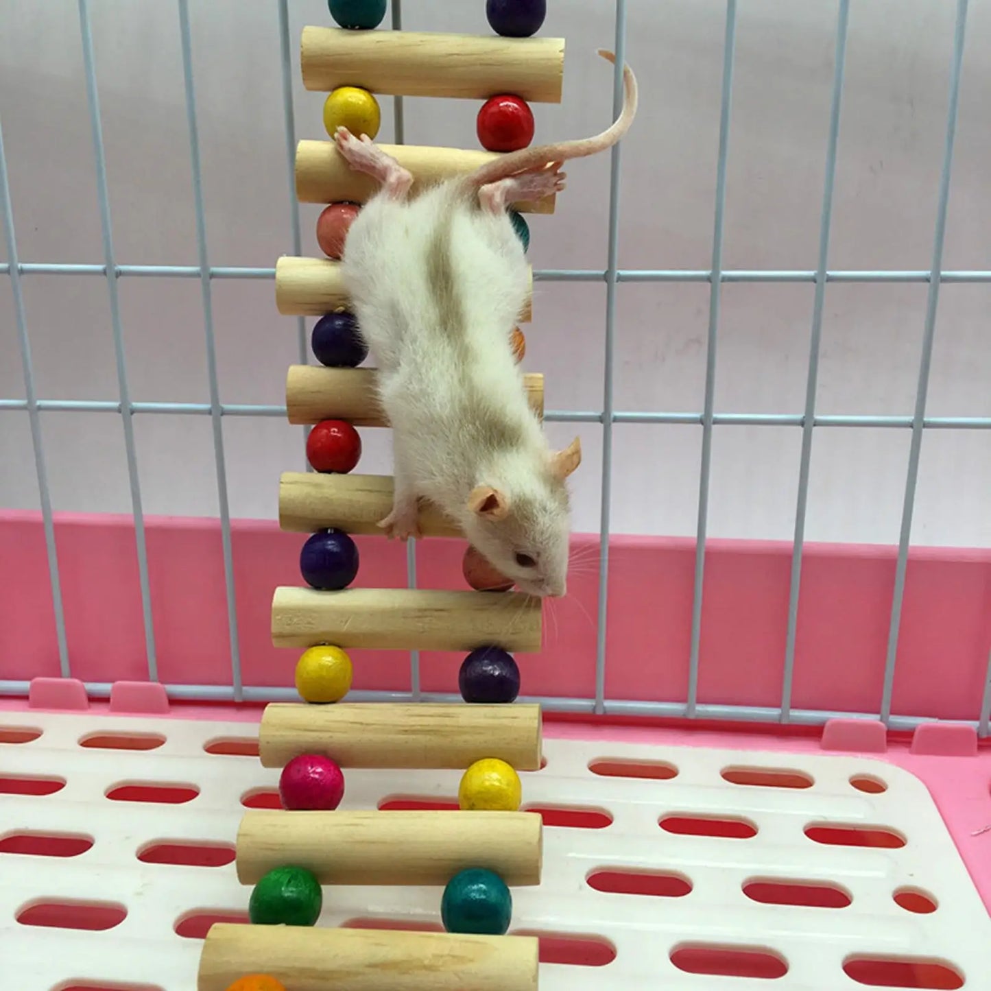 Wooden Bird Ladder Perch Stand Toy for Finches Budgies and Canaries
