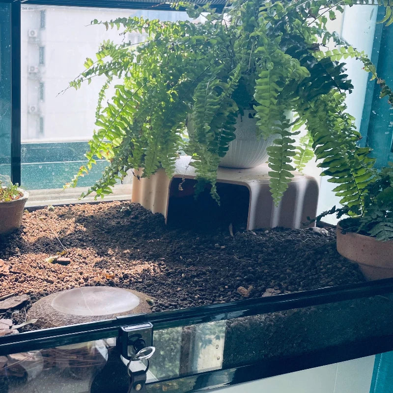 3D Printed Cave Hideouts Shelter for Lizards Turtles and Reptiles Habitat Decor