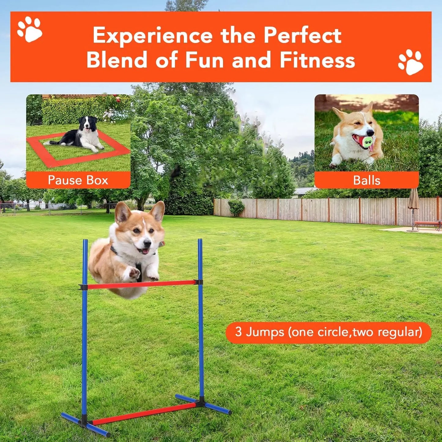 87 Piece Dog Agility Training Equipment Set with Tunnel Hurdles and Weave Poles