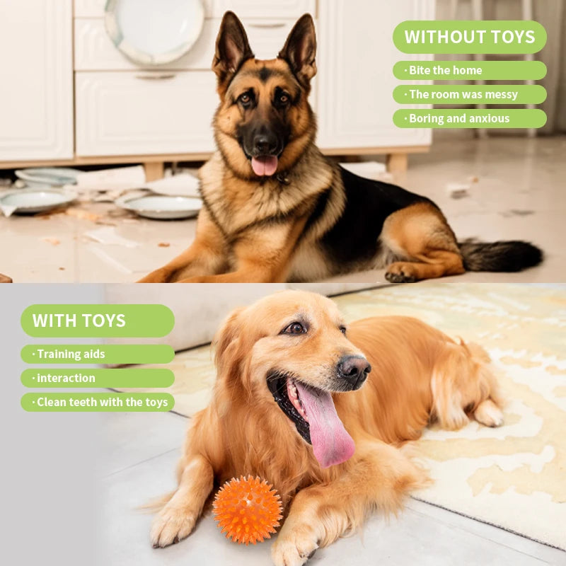 18 Piece Dog Toy Set with Squeaky Toys Ropes and Interactive Food Dispensers