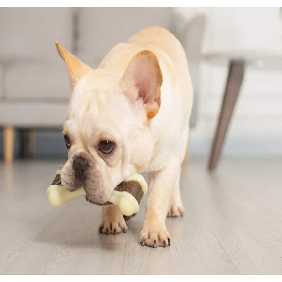 Indestructible Nylon Dog Chew Toys For Aggressive Chewers Large Breed 2 Pack