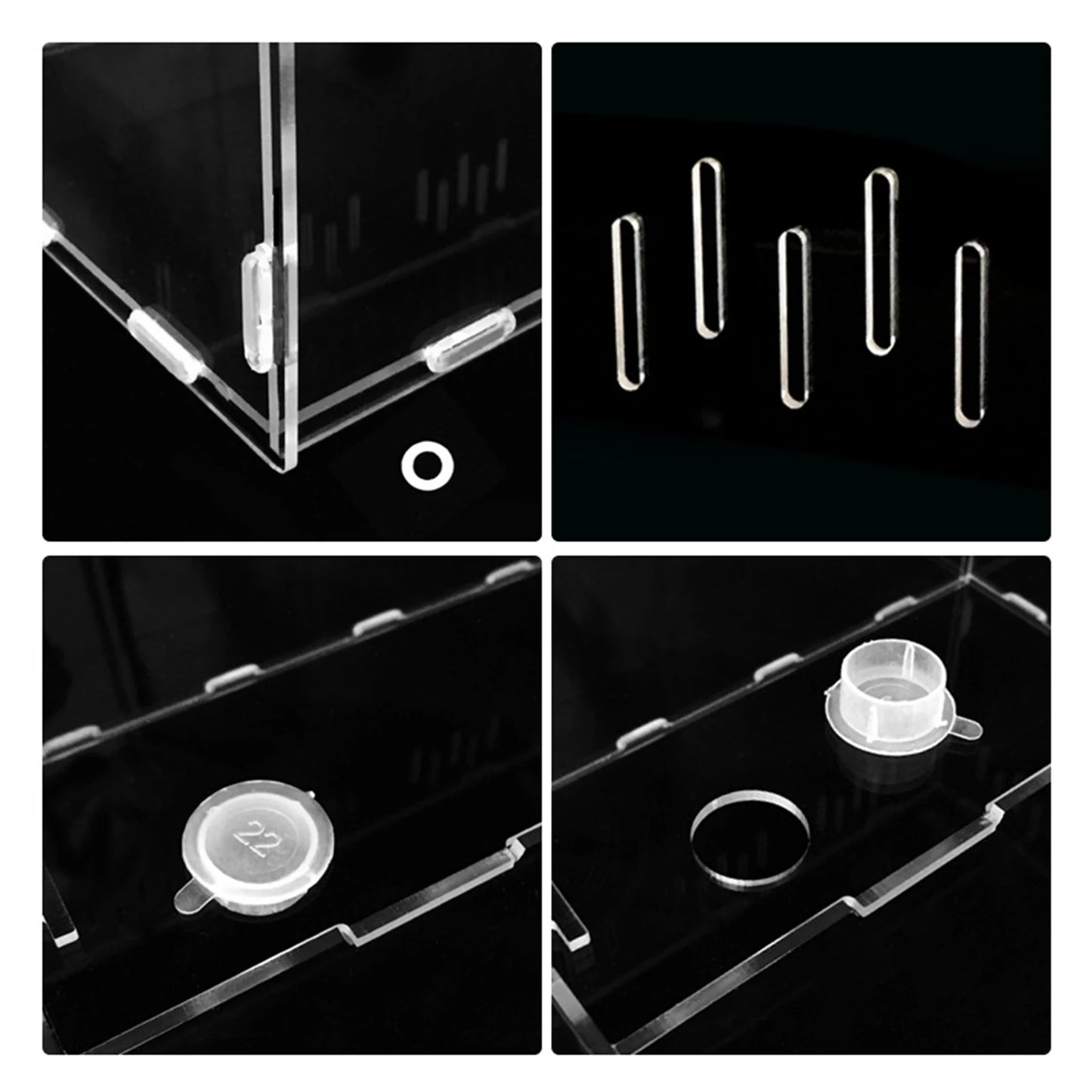 Acrylic Pet Breeding Box for Reptiles and Insects with 4 Grids