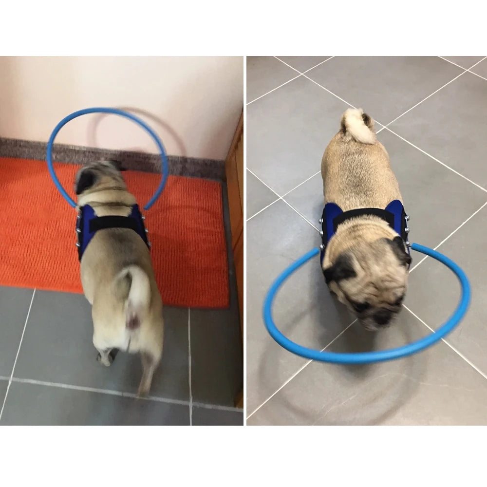 Dog Breakaway Anti Collision Collar For Training And Safety