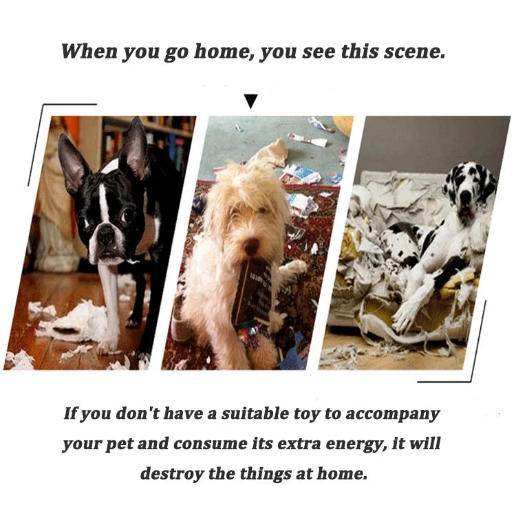 EVA Dog Flying Disc Training Toy Floating Ring Disc For Outdoor Fetch Puppy