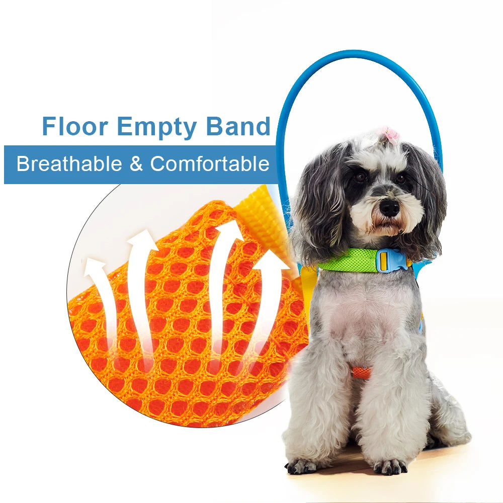 Dog Breakaway Anti Collision Collar For Training And Safety