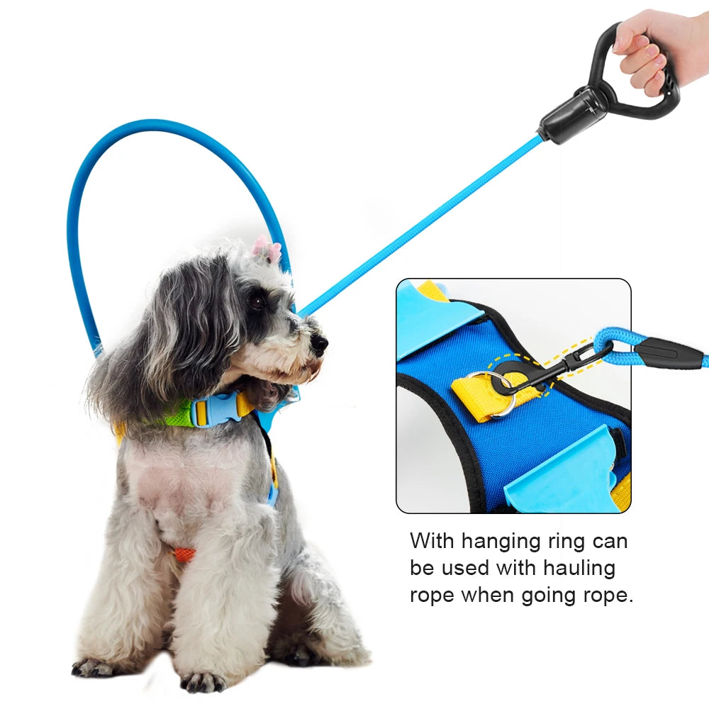 Dog Breakaway Anti Collision Collar For Training And Safety