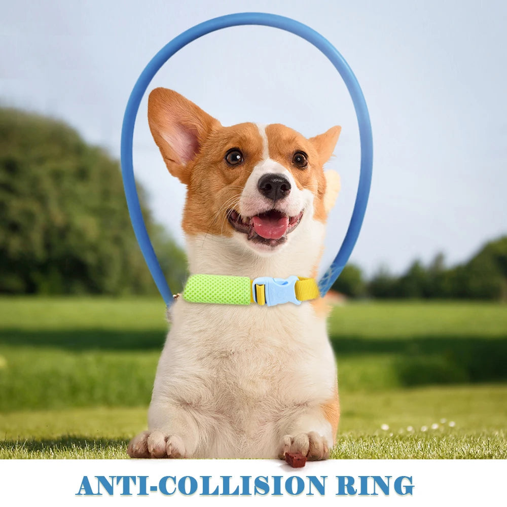 Dog Breakaway Anti Collision Collar For Training And Safety