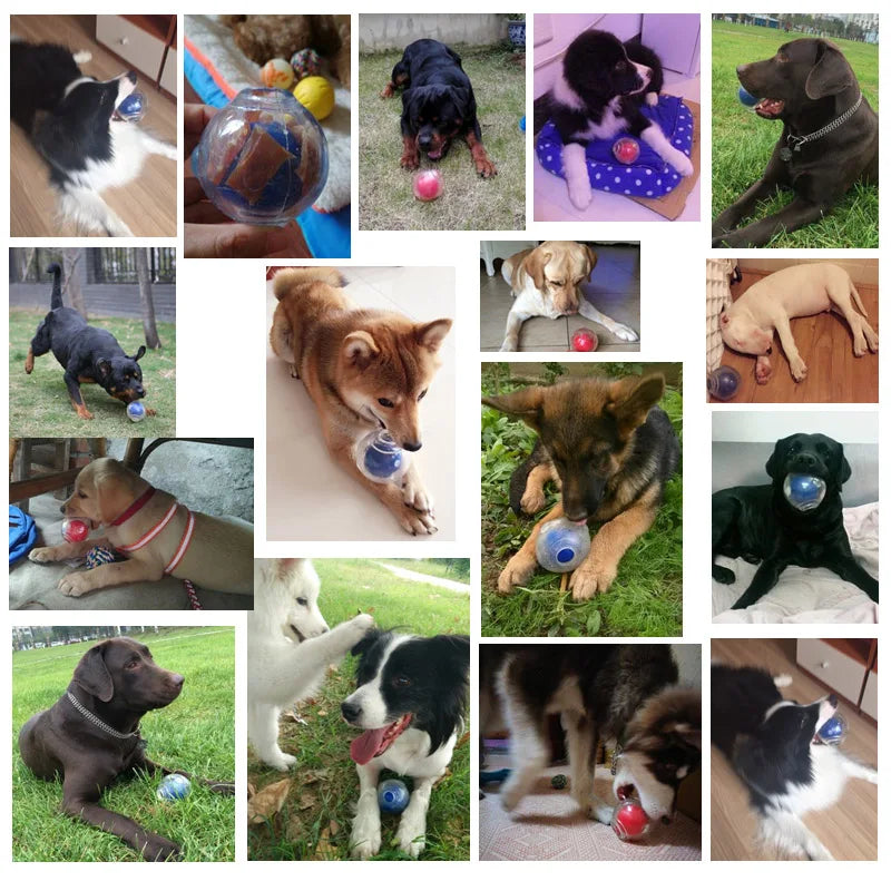 CAITEC Amazing Squeaker Ball Durable Floatable Dog Toy For Tossing And Chasing