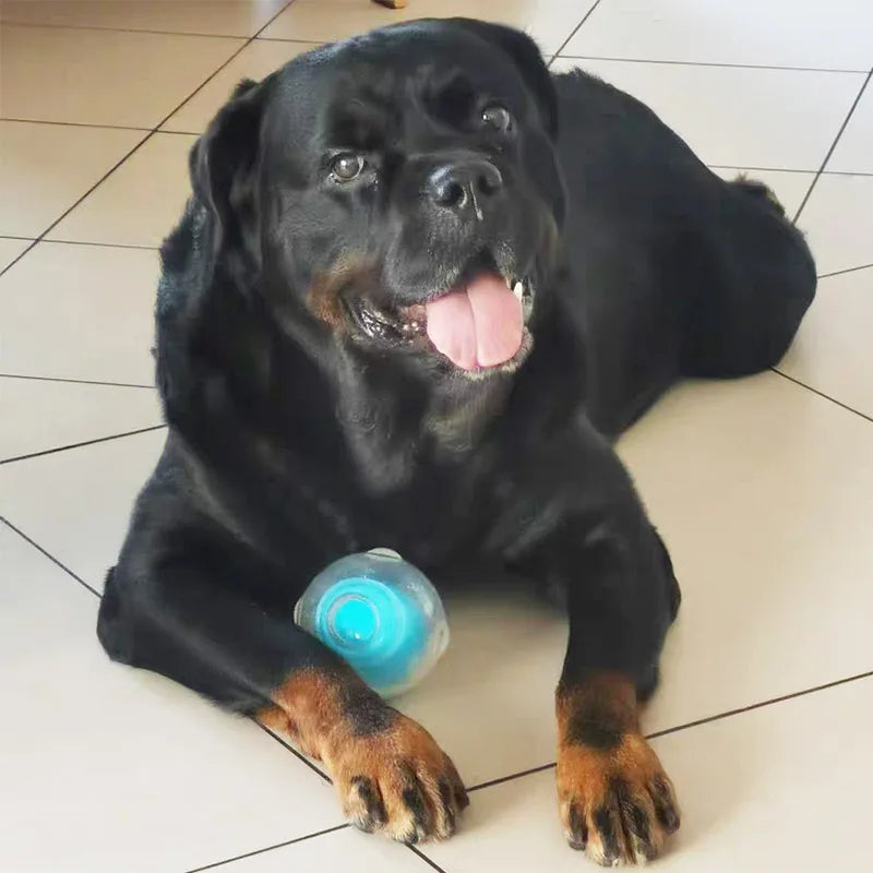 CAITEC Amazing Squeaker Ball Durable Floatable Dog Toy For Tossing And Chasing