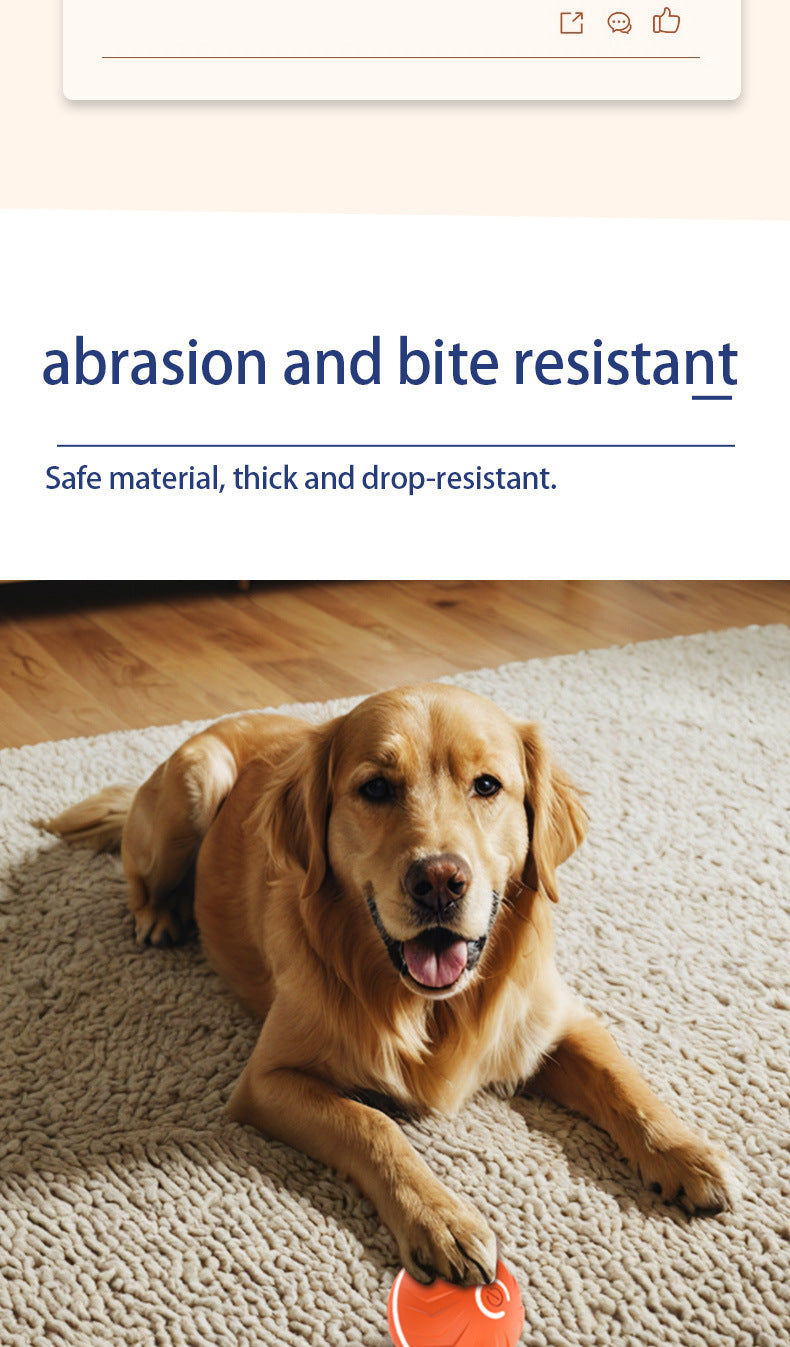 Dog Interactive Electric Rolling Ball Toy With Gravity Bouncing Action