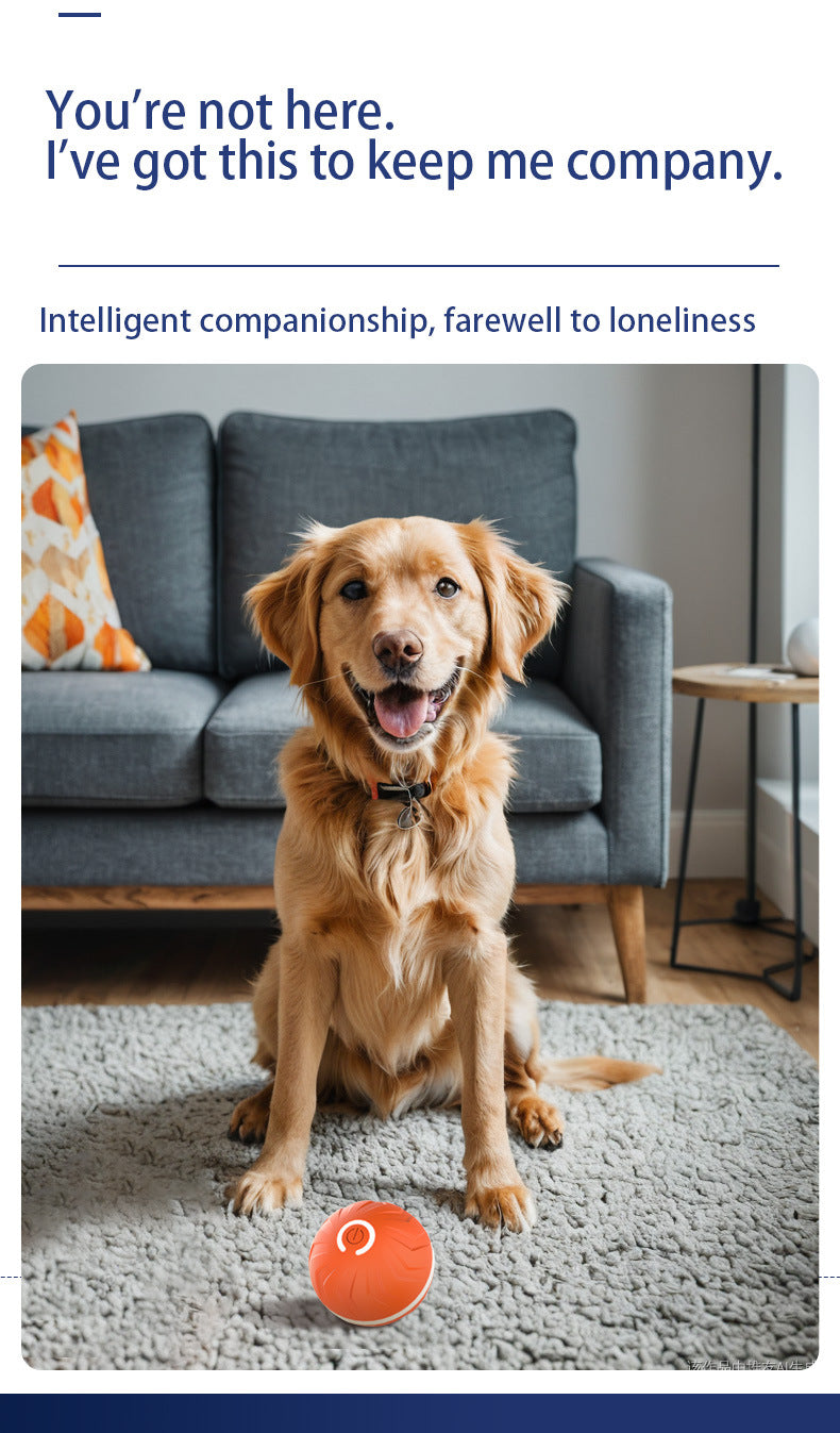 Dog Interactive Electric Rolling Ball Toy With Gravity Bouncing Action