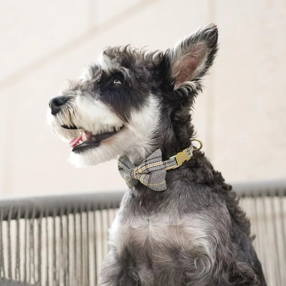 Adjustable Dog Harness Leash Set For Small Dogs And Cats Plaid Design