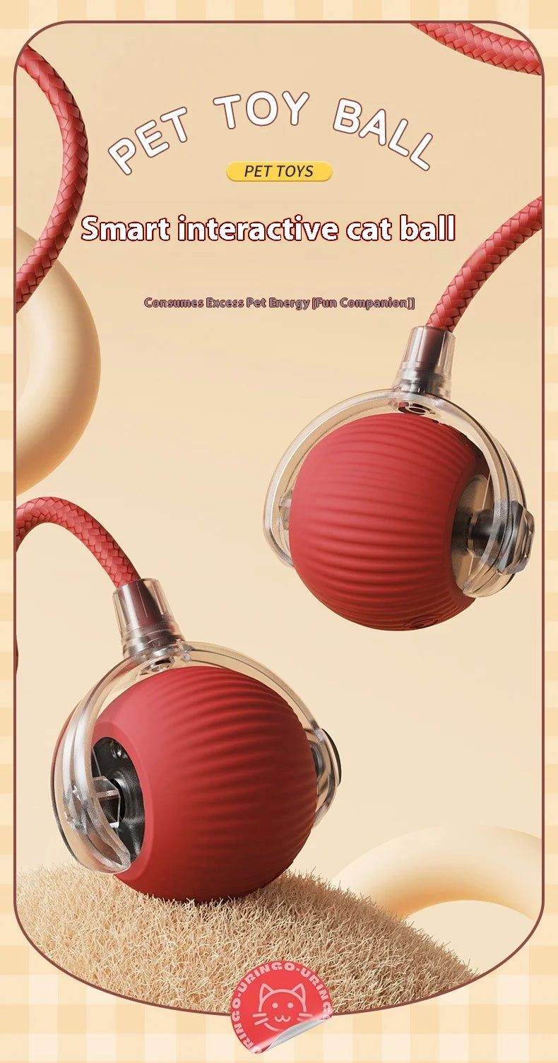 2 Pack Cat Interactive Ball Toys Automatic Rolling Ball Rechargeable Toy Cats