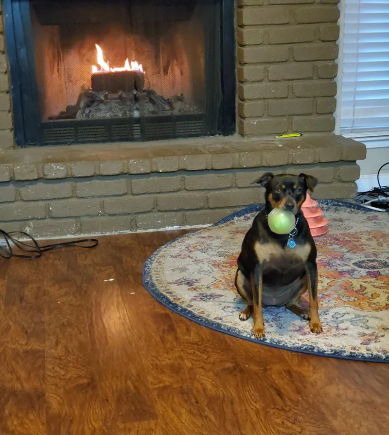 CAITEC Amazing Squeaker Ball Durable Floatable Dog Toy For Tossing And Chasing