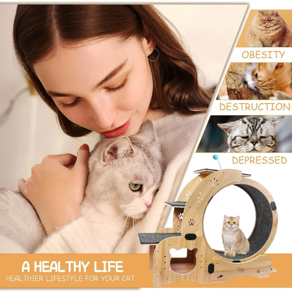 51 Inch 6 In 1 Cat Exerciser Wheel With Bed And Scratching Board