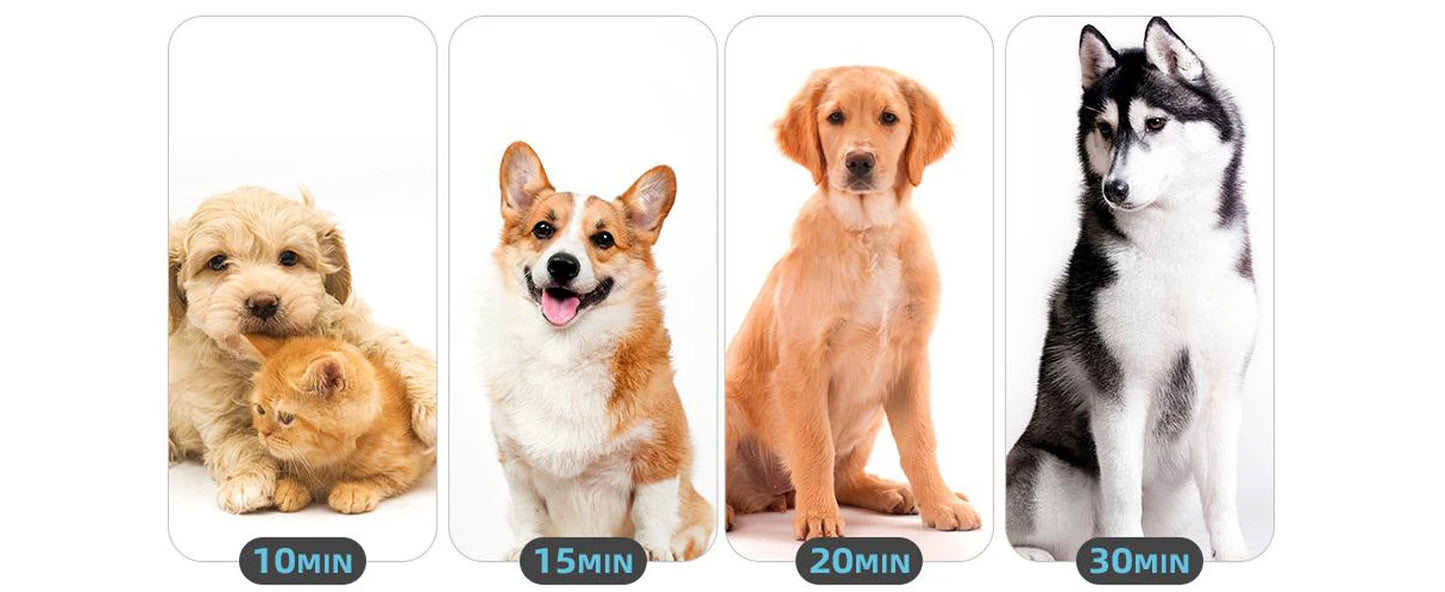 Dog Hair Dryer For Large Dogs Pet Grooming Blower With Heat And Adjustable Speed