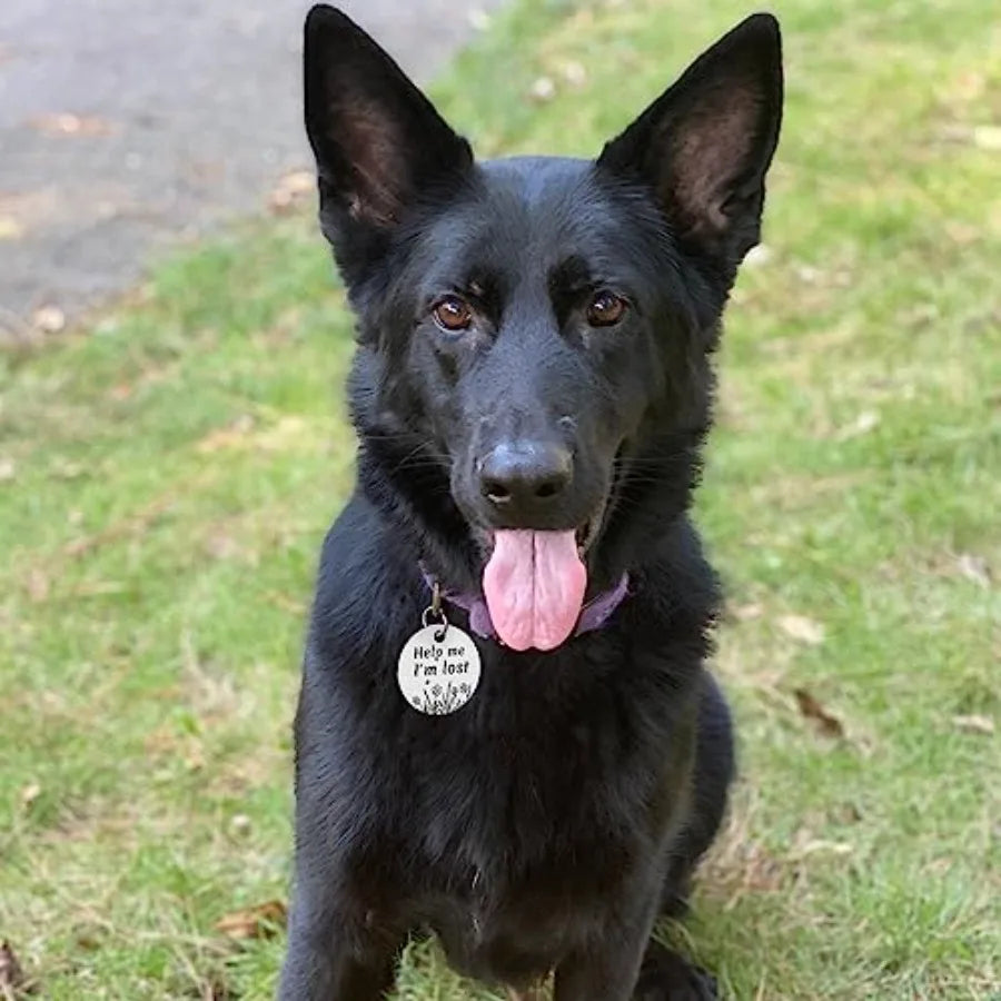 QR Code Stainless Steel Dog ID Tag With Engraved Profile And Email Alerts