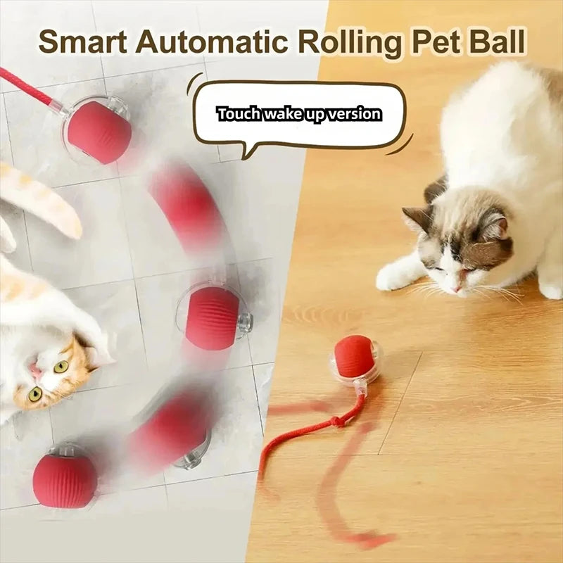 Smart Cat Interactive Ball Toy Automatic Rolling Rechargeable Kitten Toy