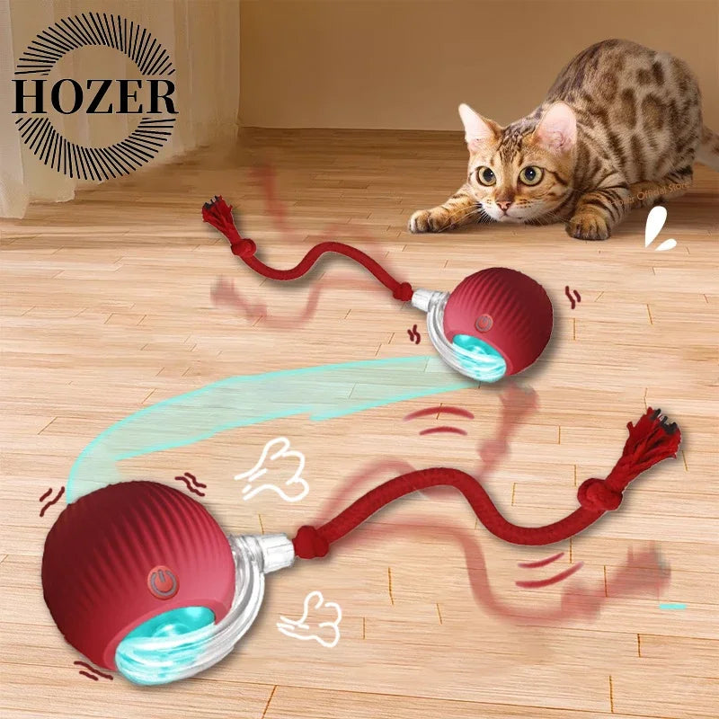 2 Pack Cat Interactive Ball Toys Automatic Rolling Ball Rechargeable Toy Cats