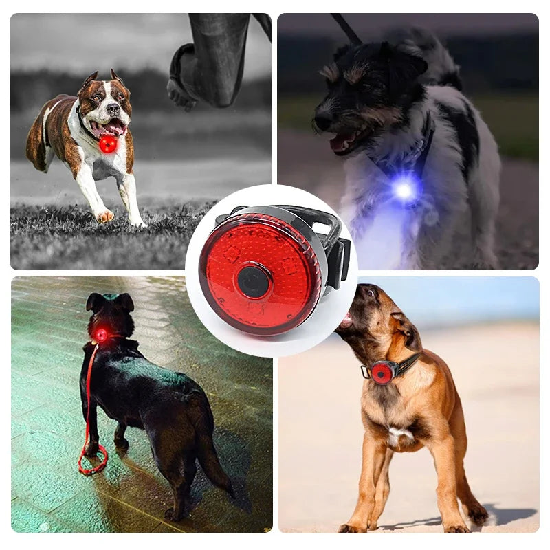 USB Rechargeable LED Dog Collar With 3 Modes For Safe Night Walking
