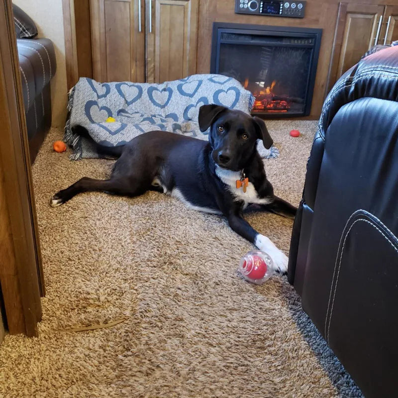 CAITEC Amazing Squeaker Ball Durable Floatable Dog Toy For Tossing And Chasing