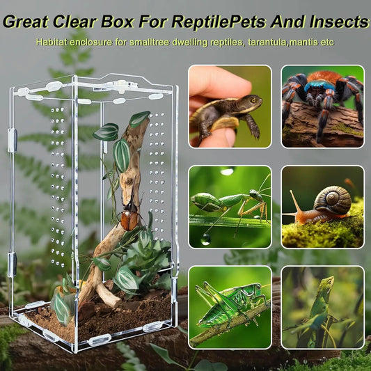 Acrylic Transparent Reptile Terrarium Habitat Breeding Box Reptiles Cage Nano Arboreal Tarantula Enclosure Bearded Dragon