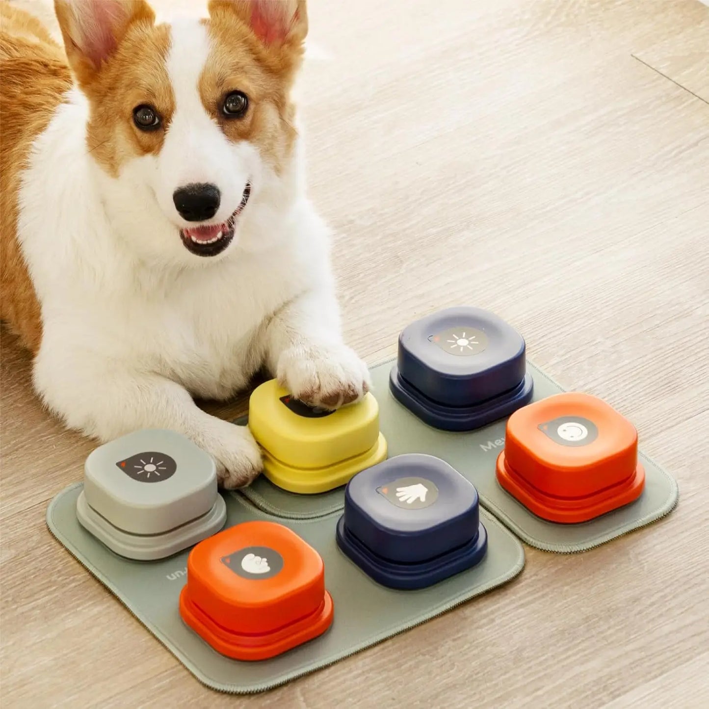 Mewoofun Recordable Dog Talking Buttons with Rubber Mat for Training