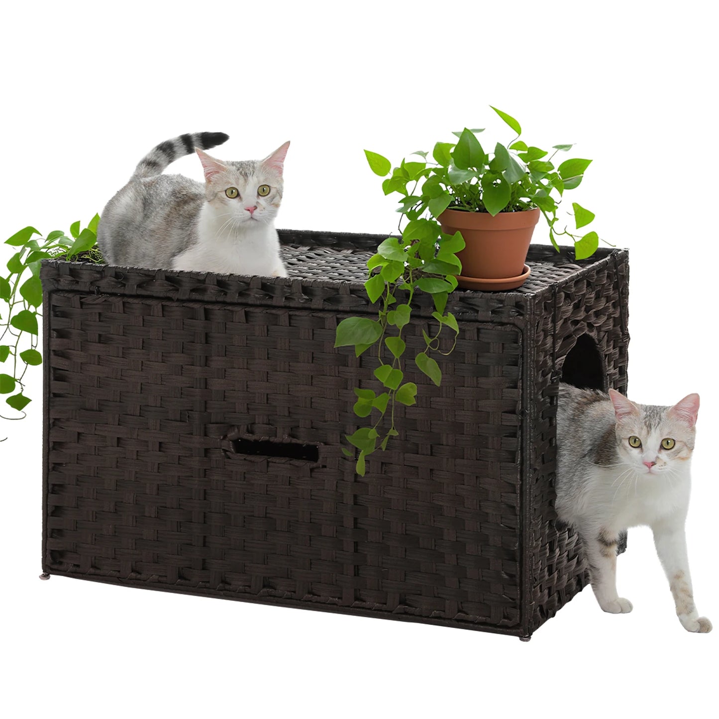 Rattan Cat Litter Box Enclosure With Taller Doorway And Flip Up Design