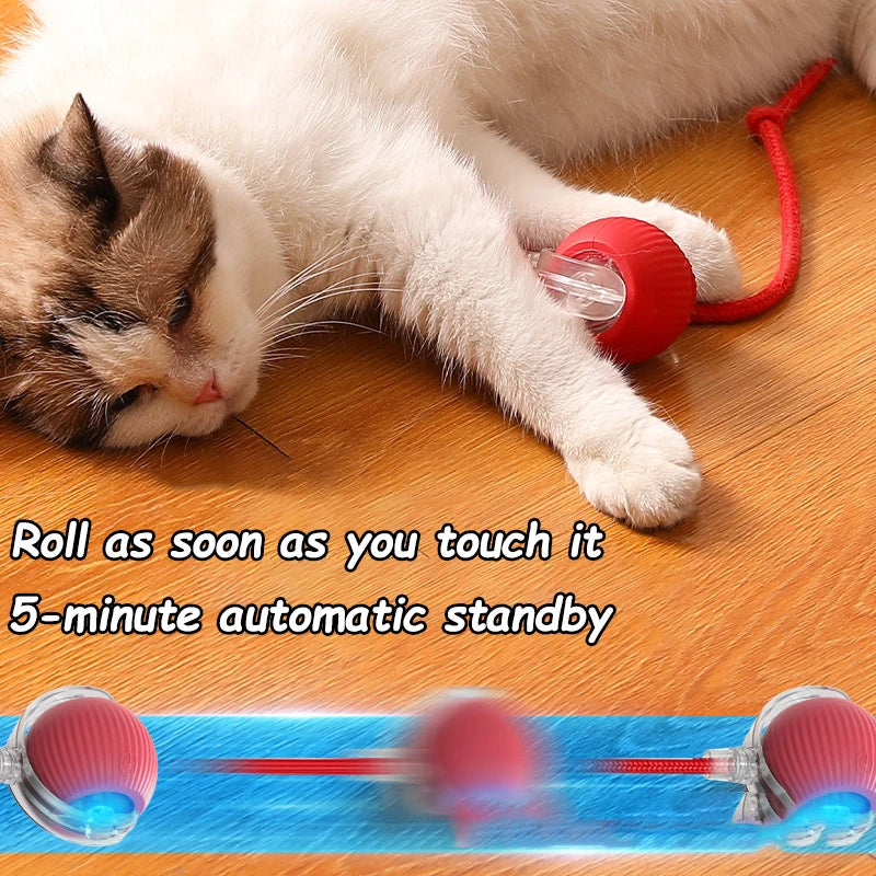 2 Pack Cat Interactive Ball Toys Automatic Rolling Ball Rechargeable Toy Cats