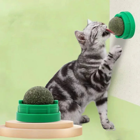 Catnip Wall Mounted Ball Toy For Cats With Scratchers And Cat Grass Snack
