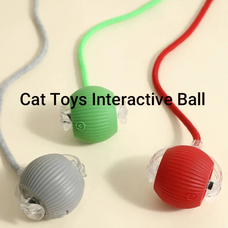 Smart Cat Interactive Ball Toy Automatic Rolling Rechargeable Kitten Toy