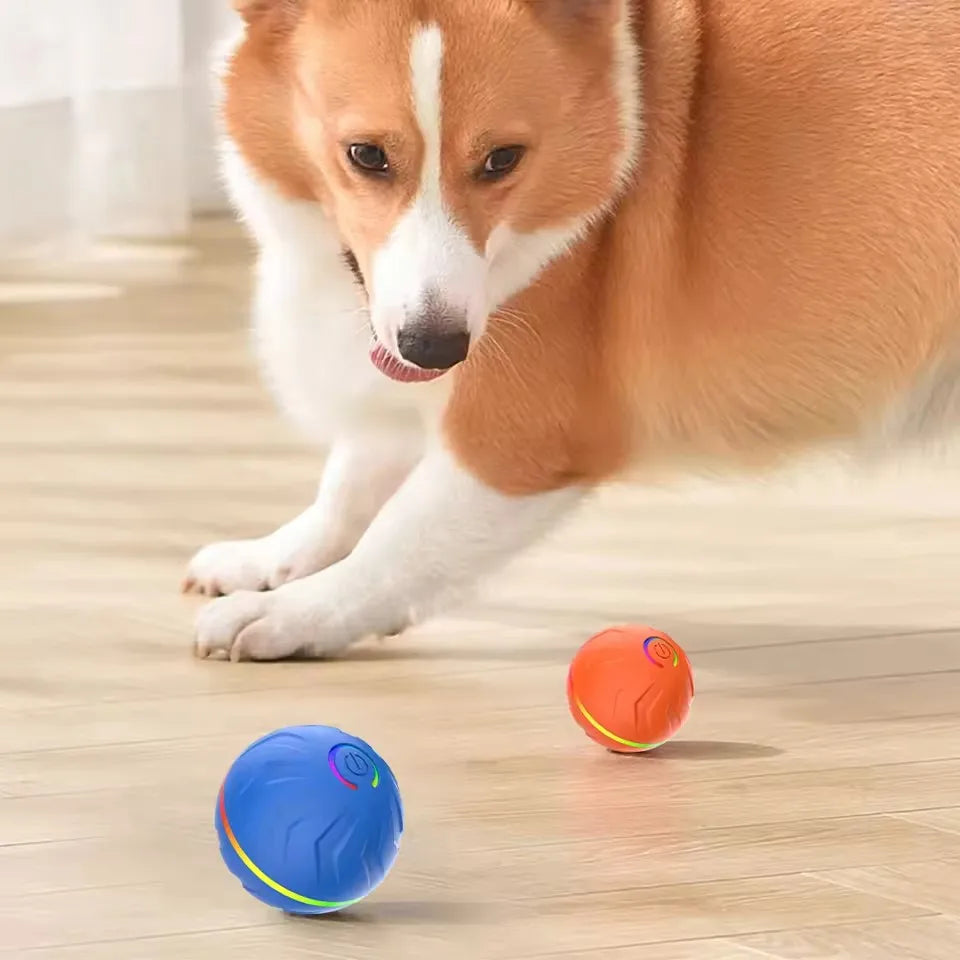 Dog Interactive Electric Rolling Ball Toy With Gravity Bouncing Action